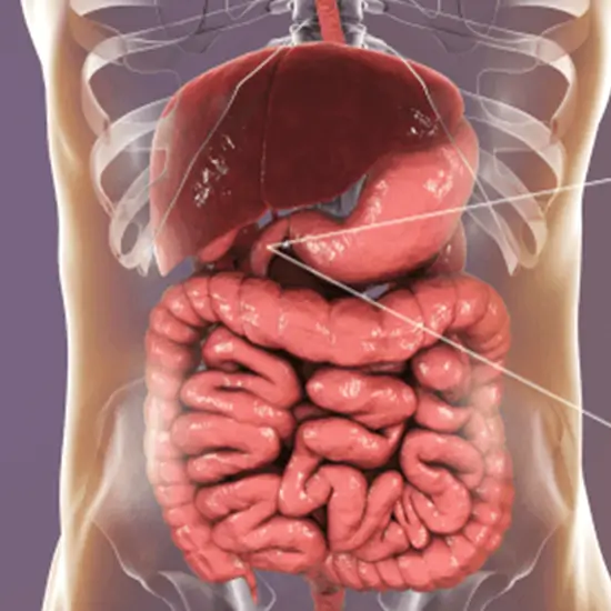 helicobacter pylori iga test